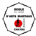 Nihon Tai Jitsu / self défense - adulte